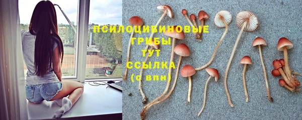ECSTASY Корсаков