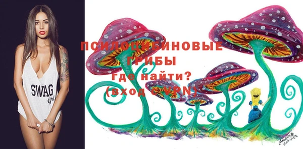 каннабис Коряжма