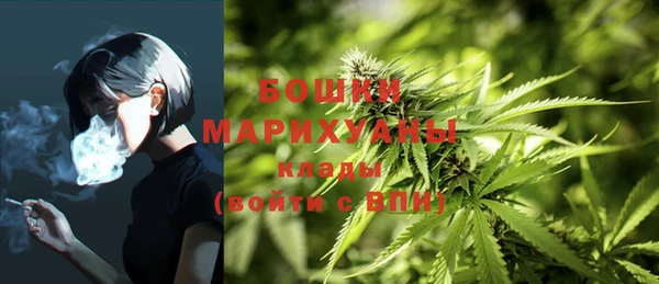ECSTASY Корсаков